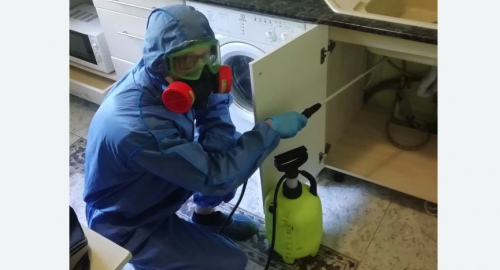 Уничтожение муравьев в квартире. Зорге