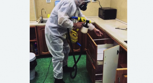 Уничтожение насекомых в квартире. Зорге