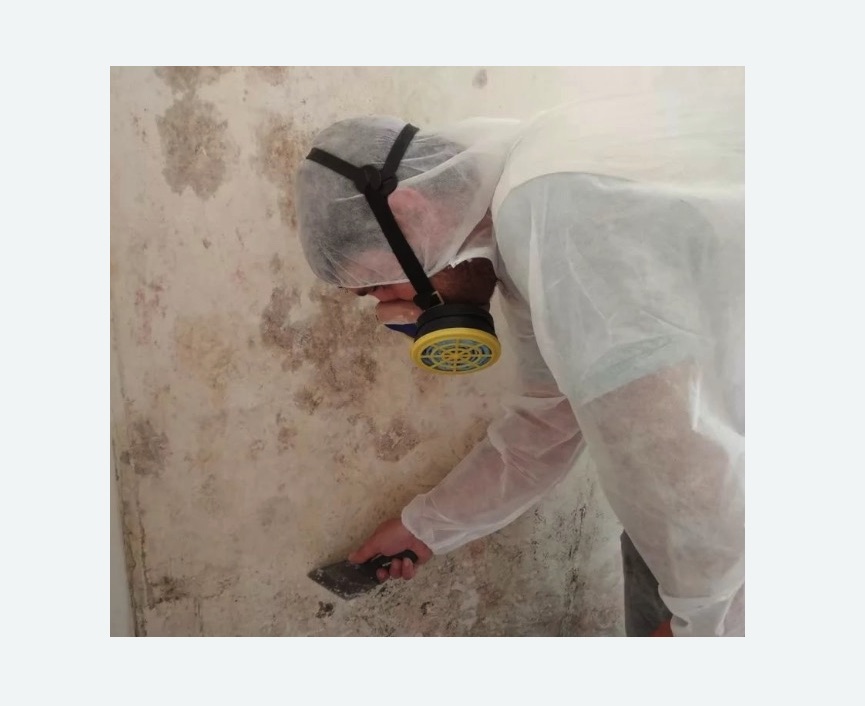 Обработка стен от плесени Зорге метро Москвы