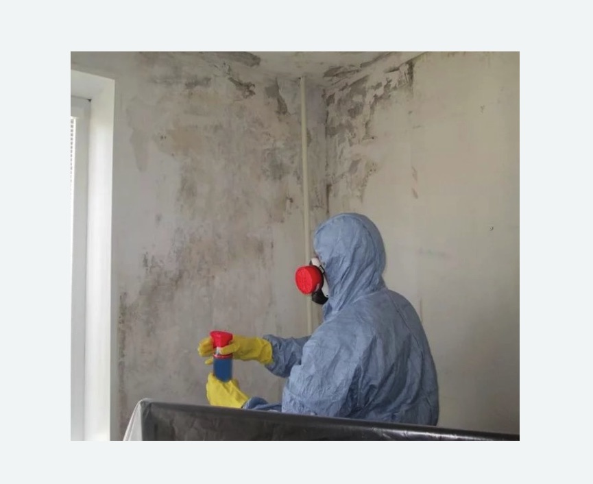 Удаление плесени в квартире Зорге метро Москвы