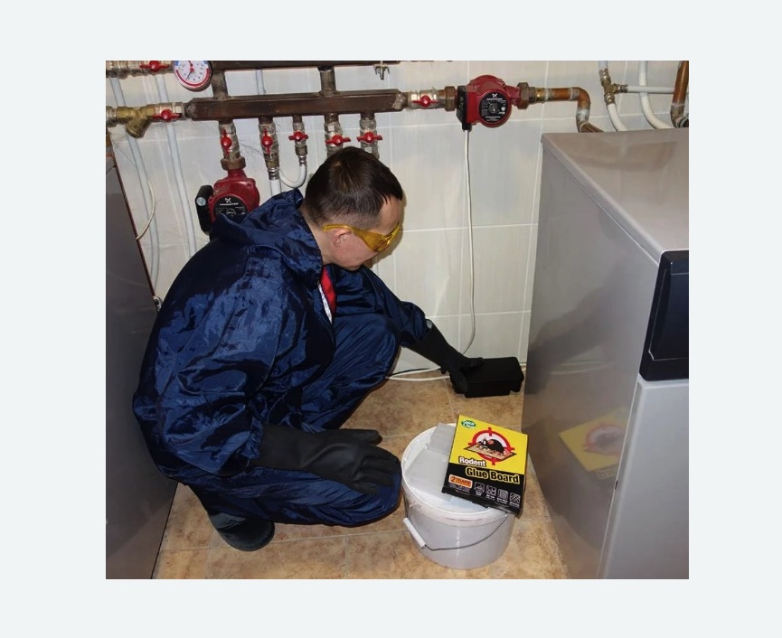 Уничтожение крыс Зорге метро Москвы