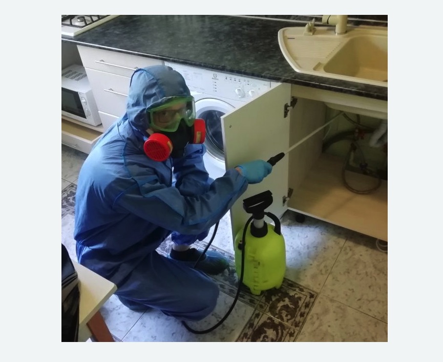 обработка от муравьев в квартире Зорге метро Москвы